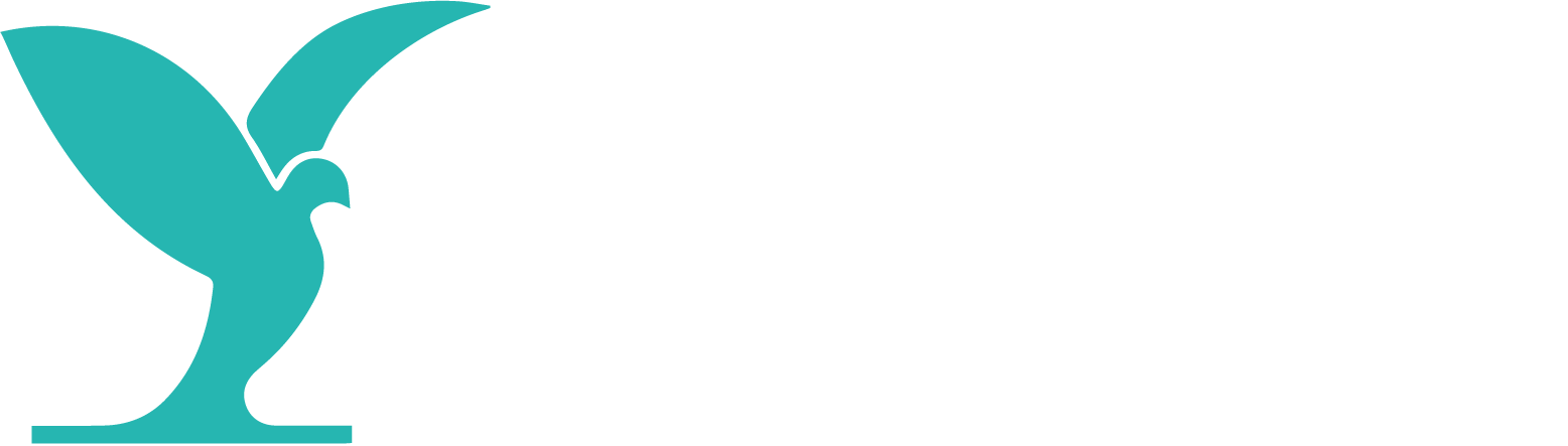 MEDFILM FESTIVAL