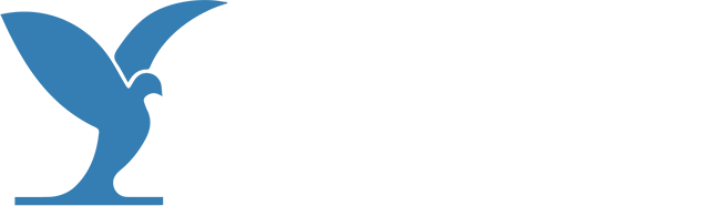 MEDFILM FESTIVAL